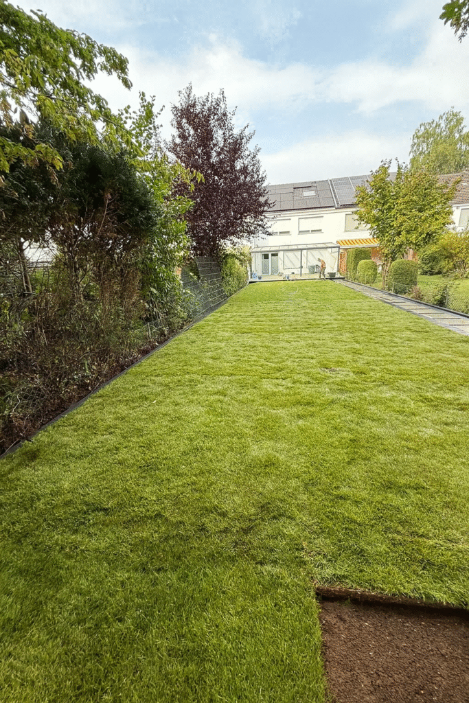 Rollrasen verlegen lassen Bernau